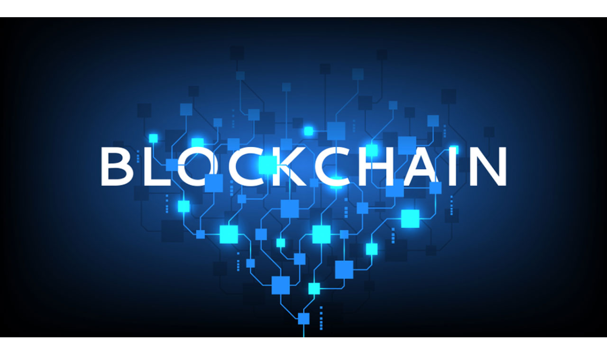 Enhancing Privacy in Blockchain: Zero-Knowledge Proof Applications